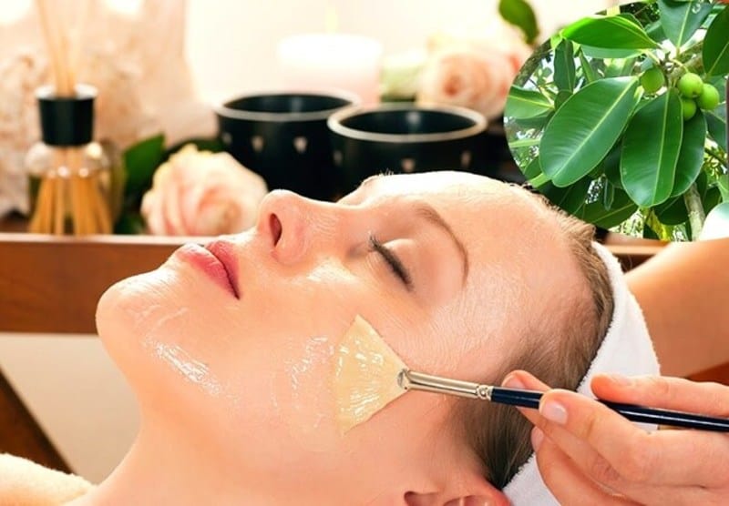 Massage da mặt bằng dầu dừa để mờ nếp nhăn và vết chân chim