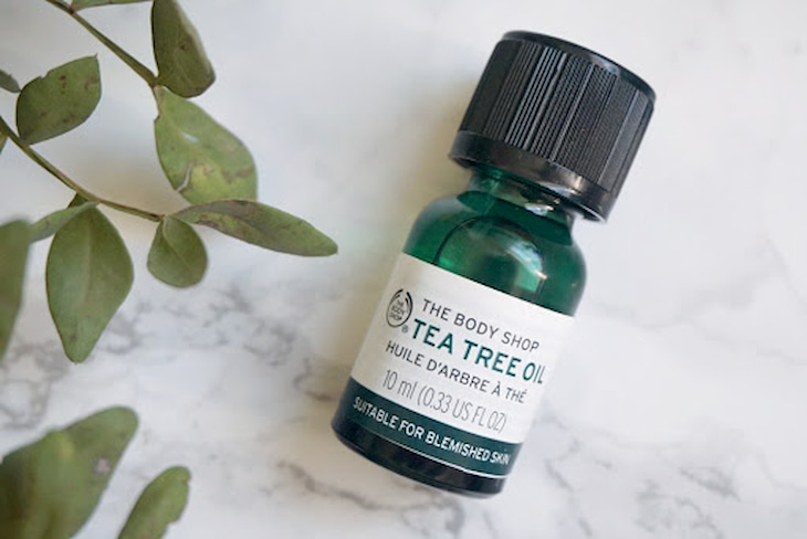 Serum trị mụn đầu đen và se khít lỗ chân lông Tea Tree Oil the Body Shop là một trong những sản phẩm trị mụn đầu đen tốt nhất hiện nay