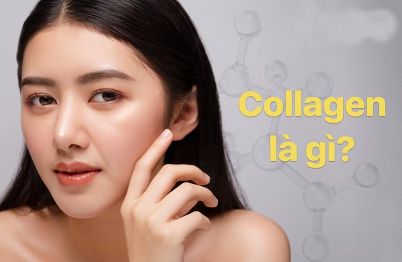 Thực chất collagen là gì