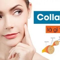 Collagen Là Gì? Phân Loại, Tác Dụng Và Cách Bổ Sung Cho Cơ Thể