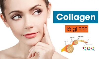 Collagen Là Gì? Phân Loại, Tác Dụng Và Cách Bổ Sung Cho Cơ Thể